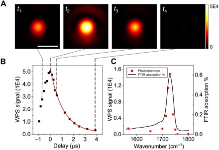 Fig. 3