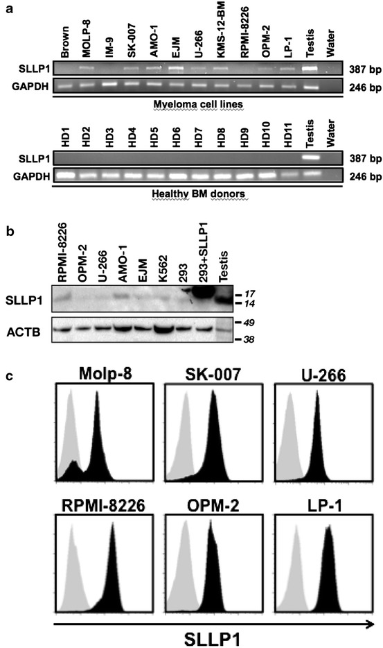 Figure 1