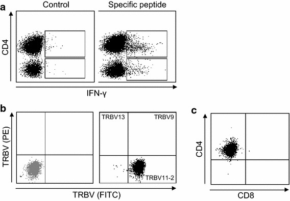 Figure 5