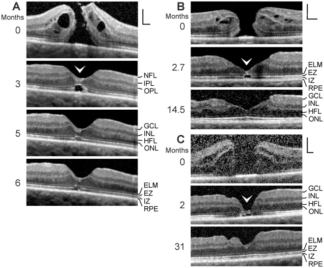 Fig. 6