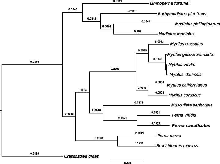 Figure 1.