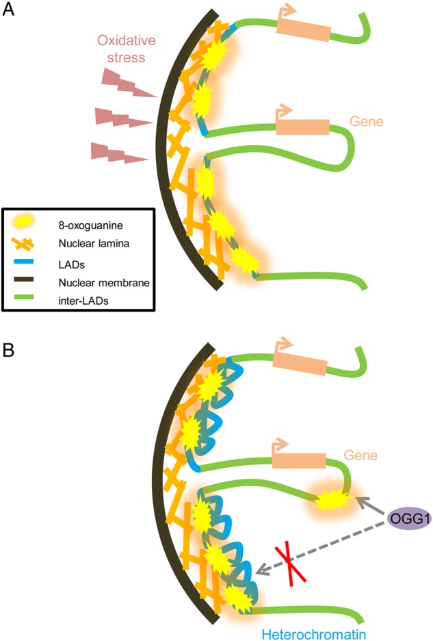 Figure 7.