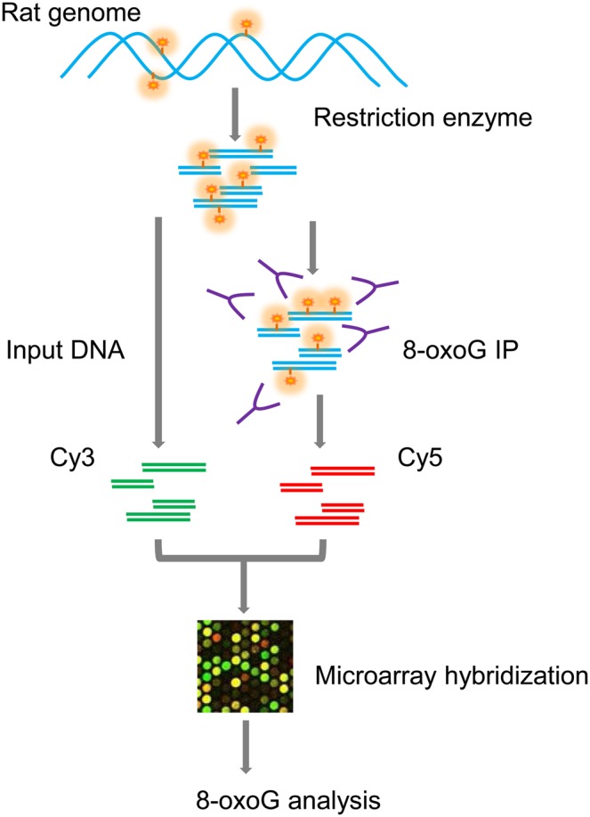 Figure 1.