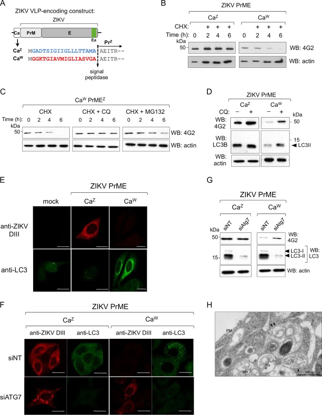 FIG 6