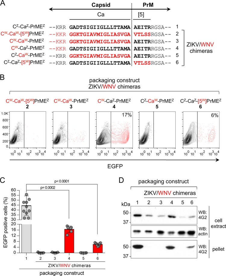 FIG 3