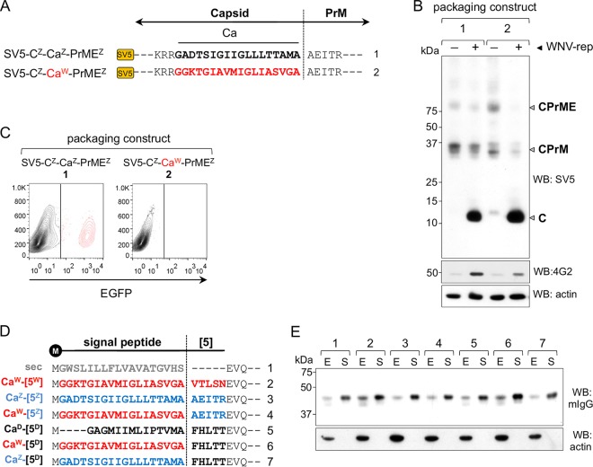 FIG 4