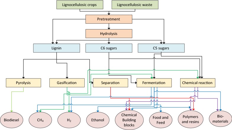 Fig. 1