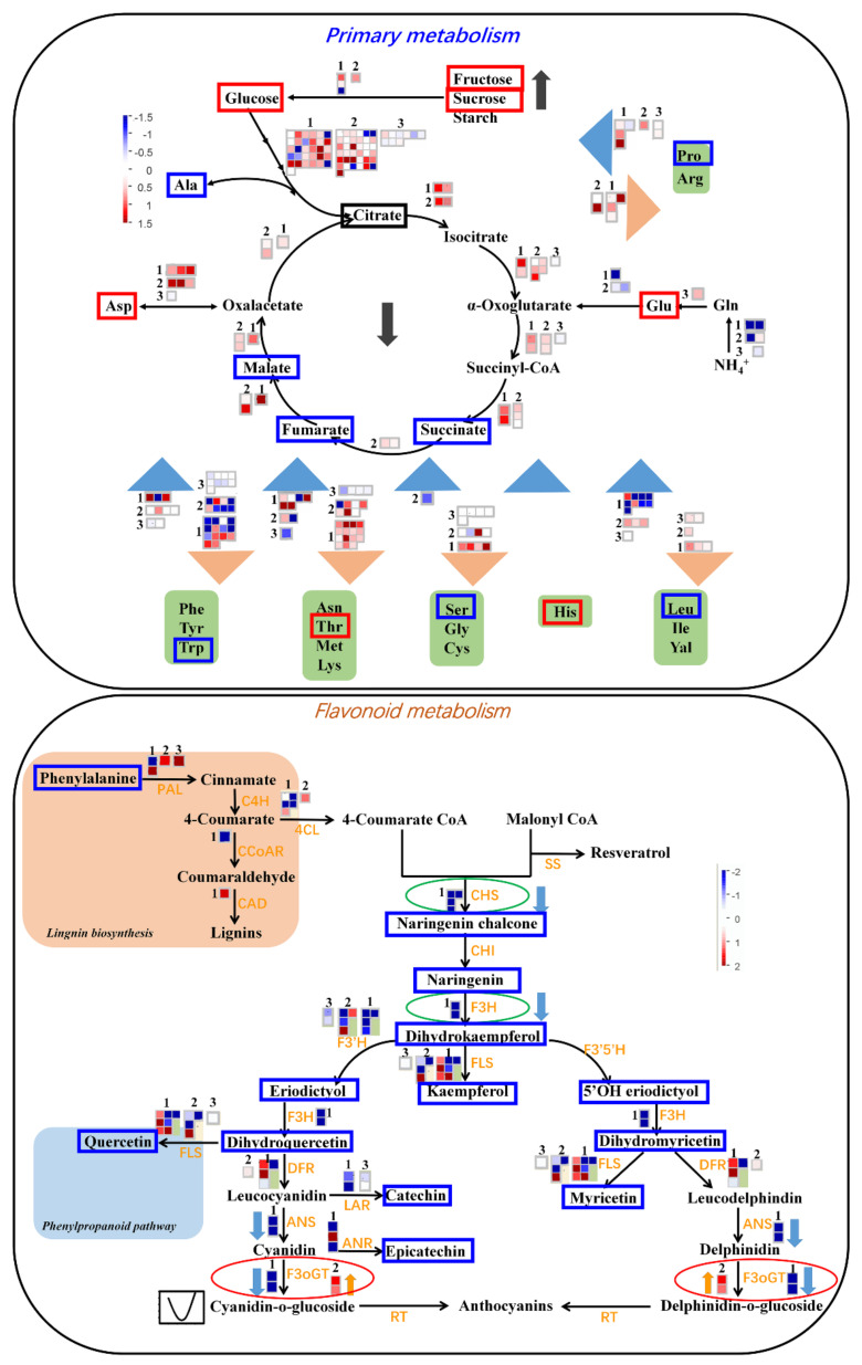 Figure 9