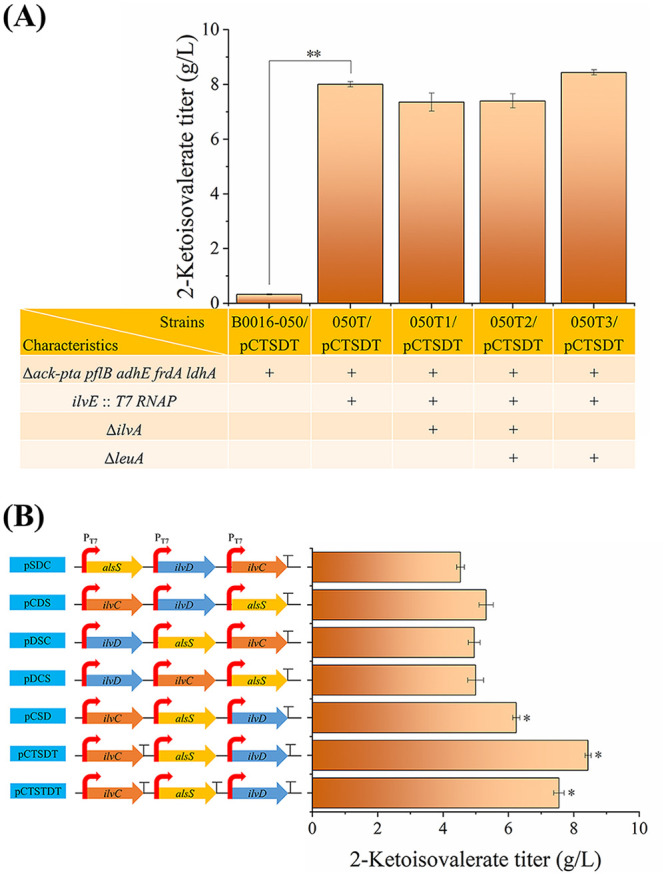 FIG 2