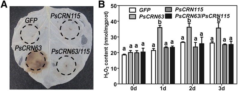 Figure 4.