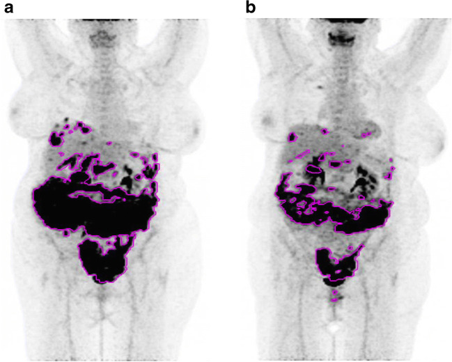 Fig. 5