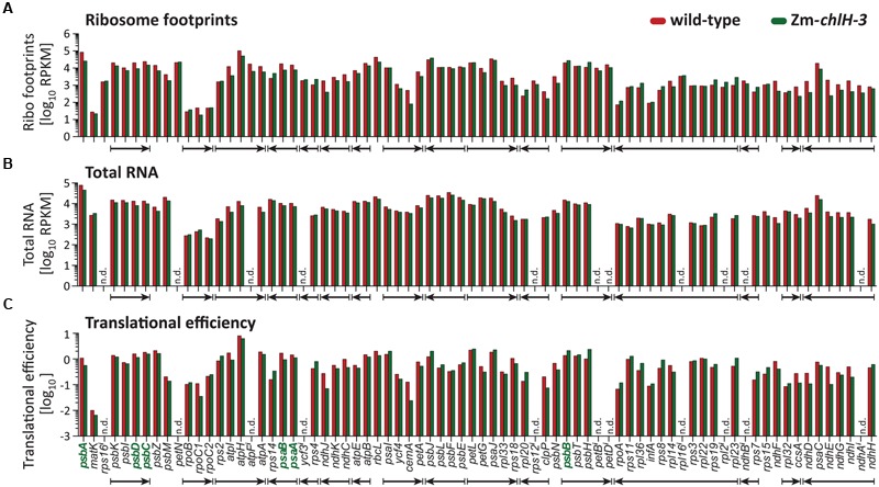 FIGURE 3