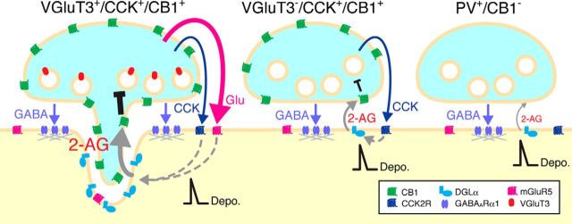 Figure 9.