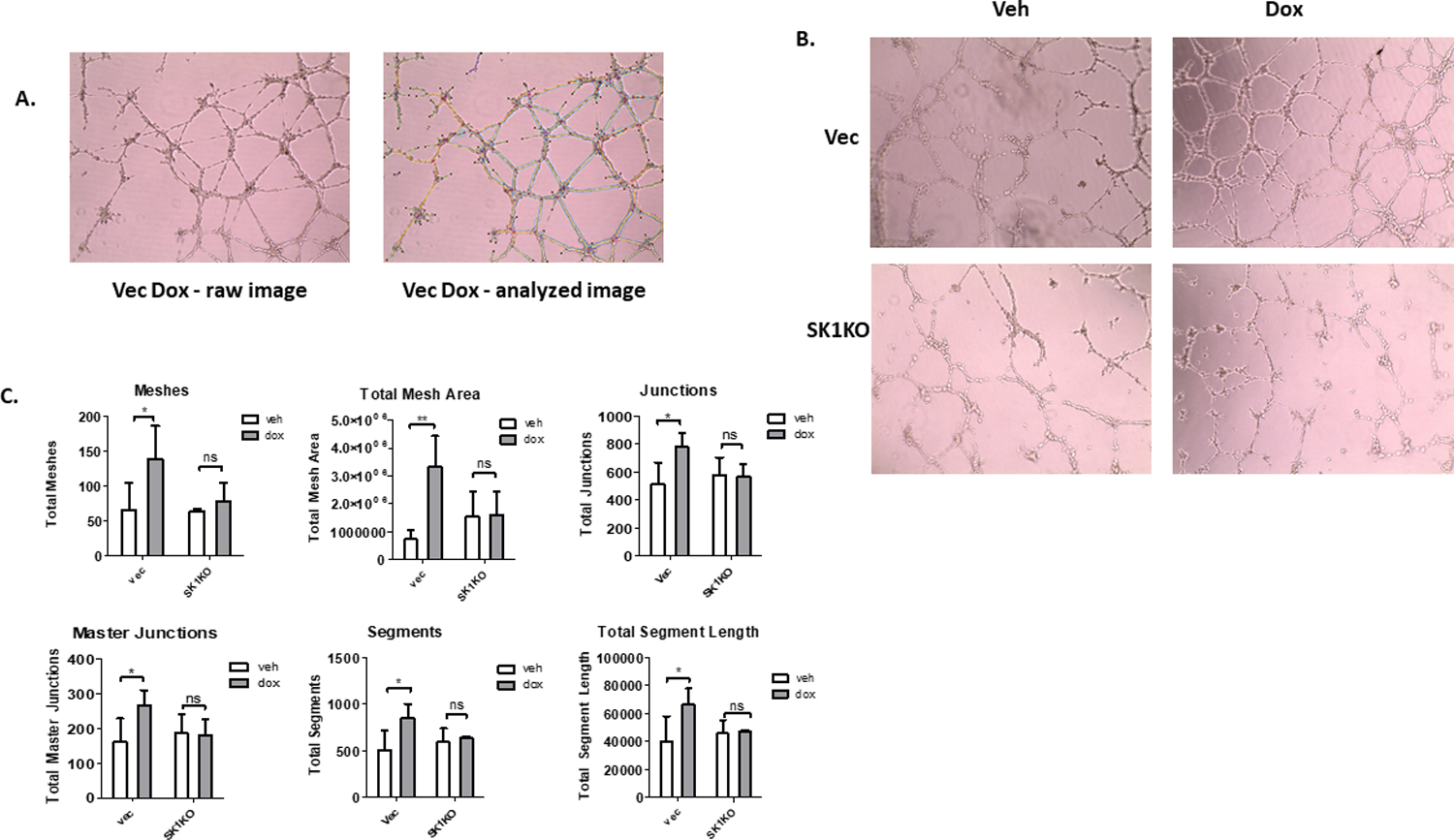 Figure 4: