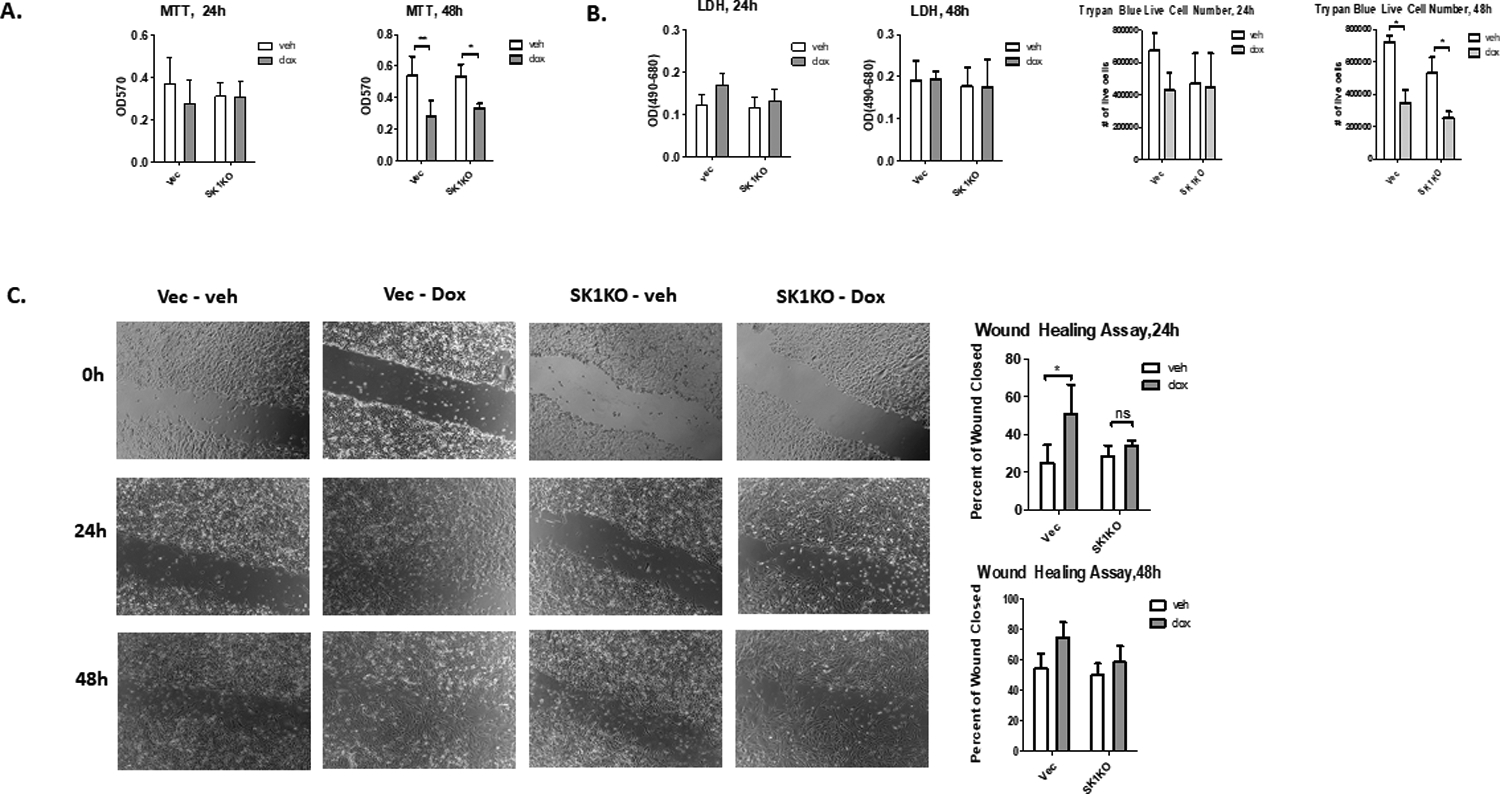 Figure 2: