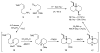 Scheme 2