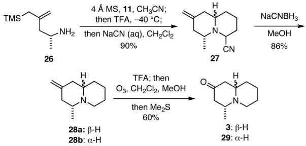 Scheme 5