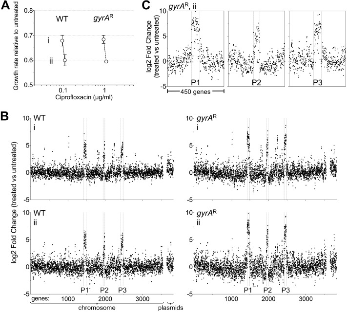 FIG 6