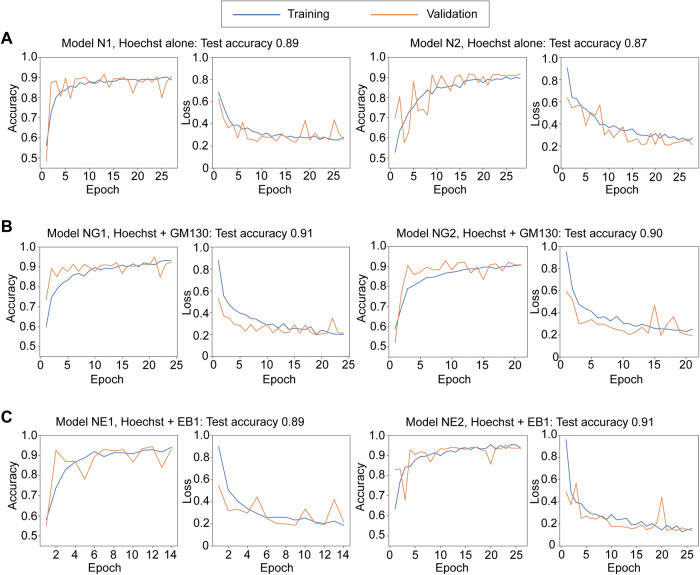 FIGURE 2: