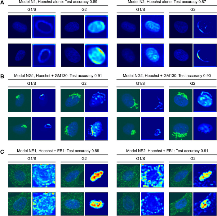 FIGURE 3: