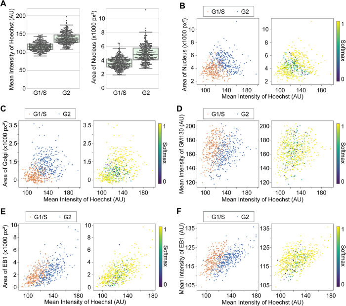 FIGURE 4: