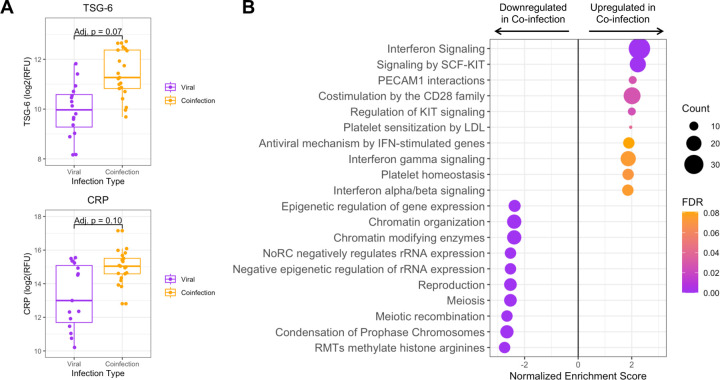 Figure 4: