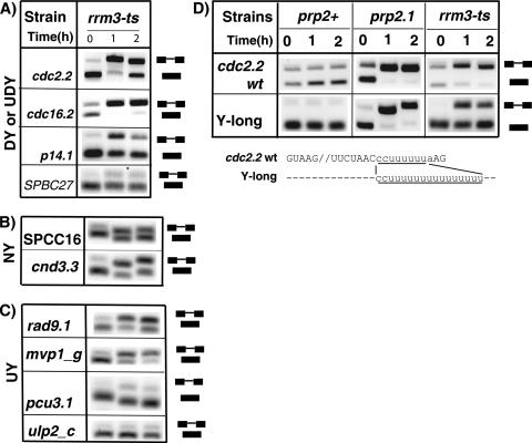 FIG. 6.