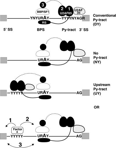 FIG. 7.