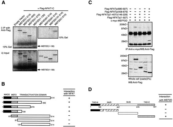 graphic file with name cdd414f3.jpg