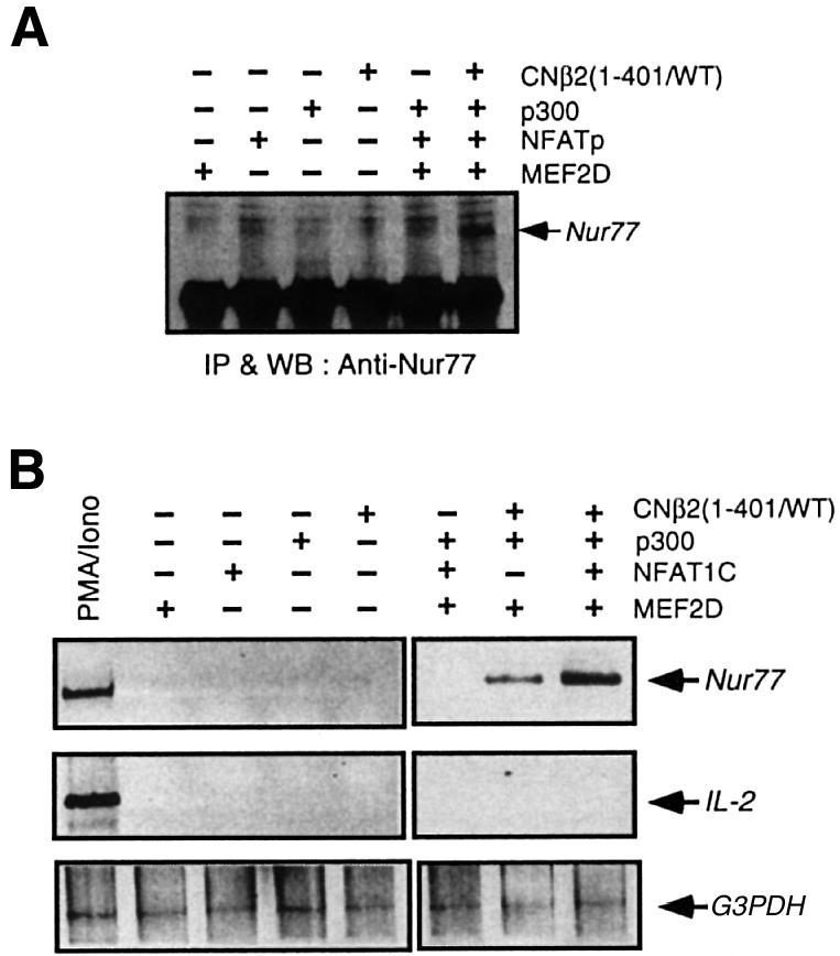 graphic file with name cdd414f6.jpg