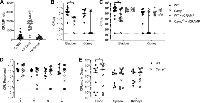 FIG 3