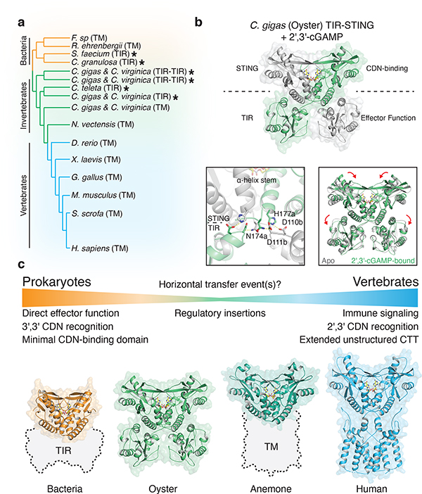 Figure 4 |