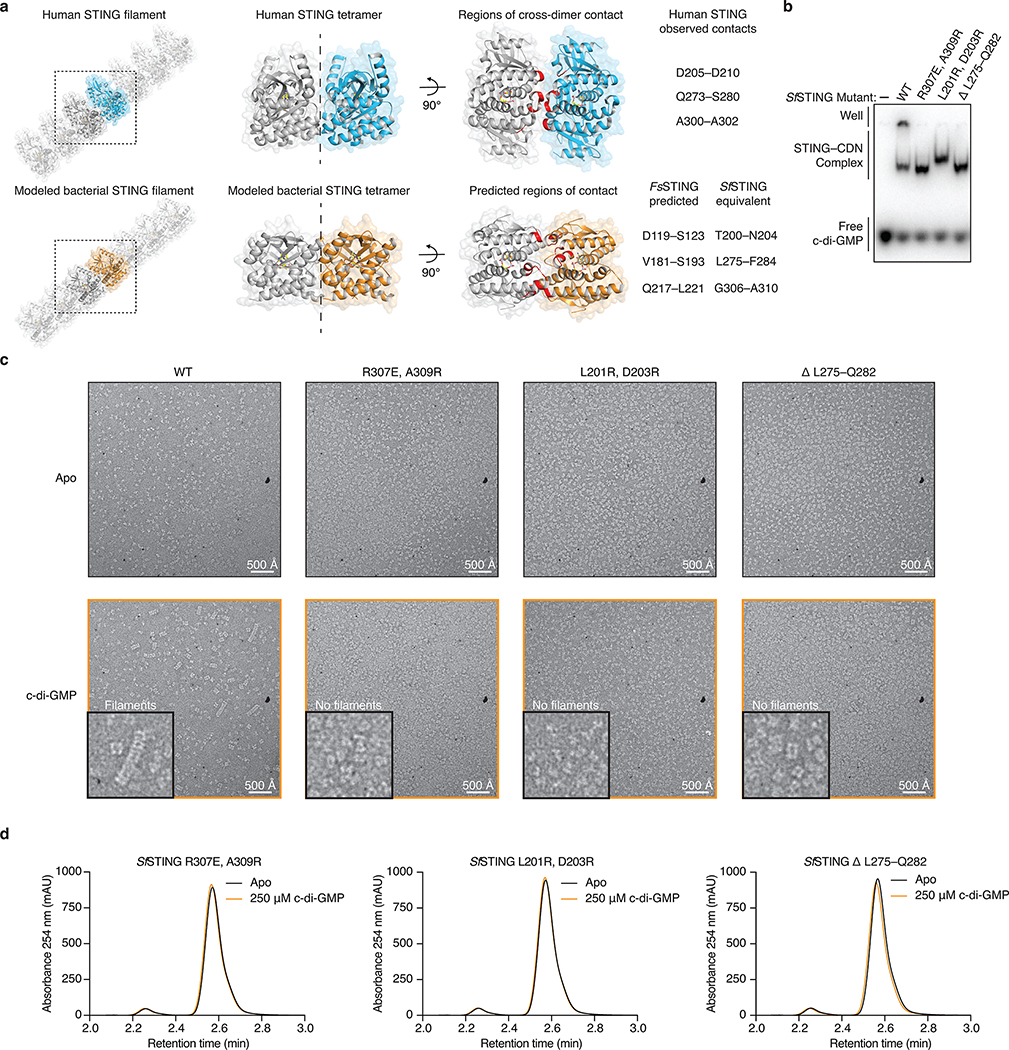 Extended Data Figure 8 |