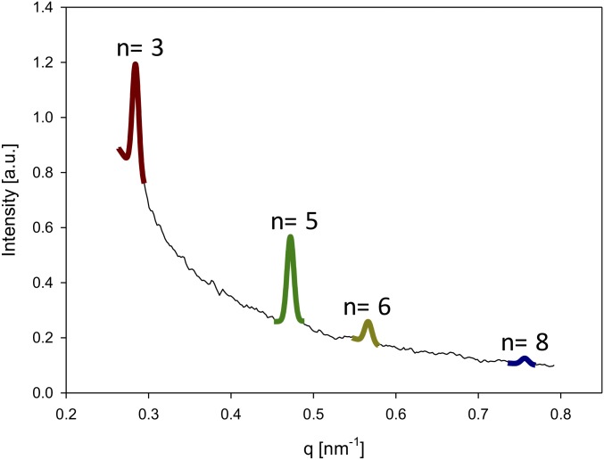 Fig. S1.