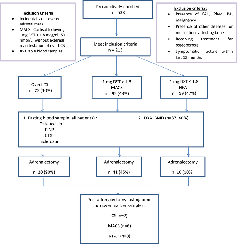 FIGURE 1 :