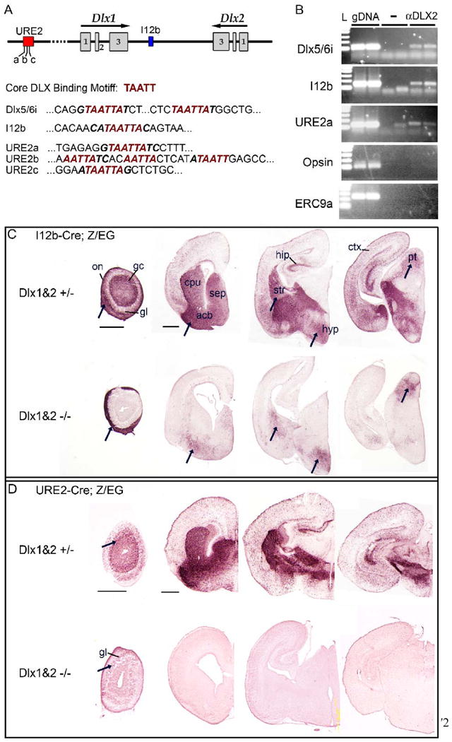 Figure 12