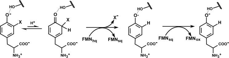 FIGURE 10.