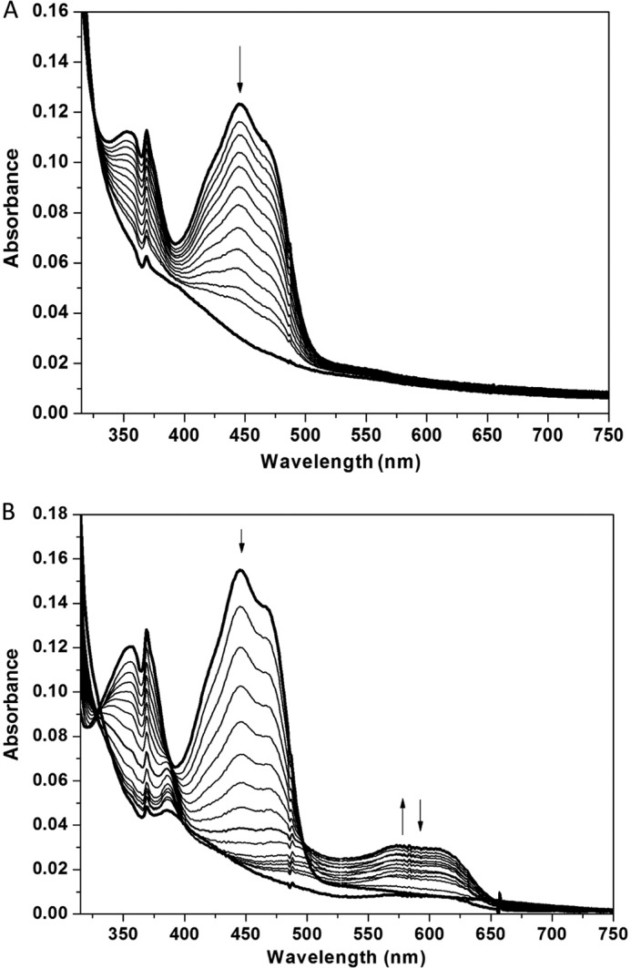 FIGURE 5.