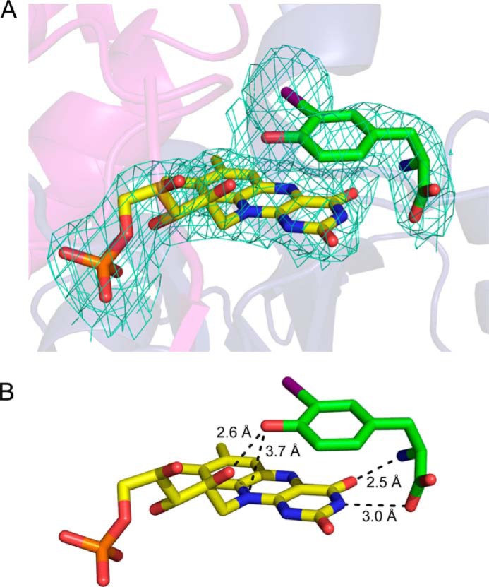 FIGURE 9.