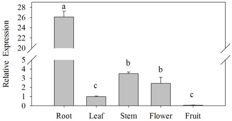 FIGURE 3