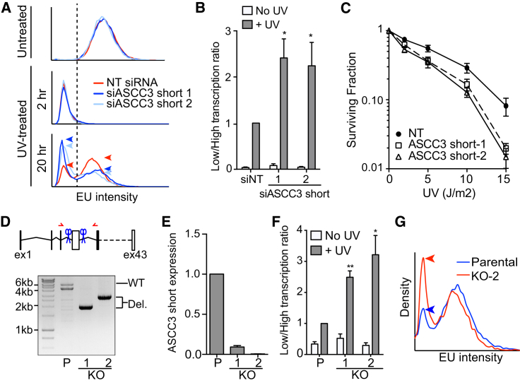 Figure 5