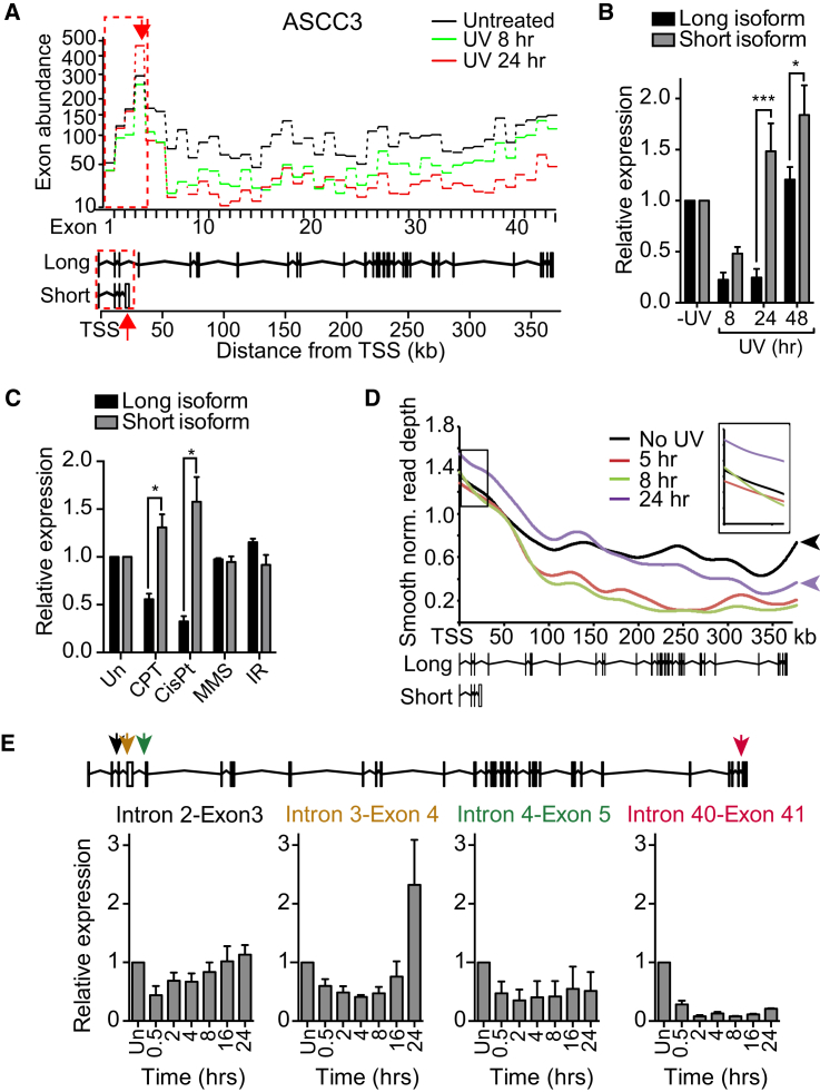 Figure 3