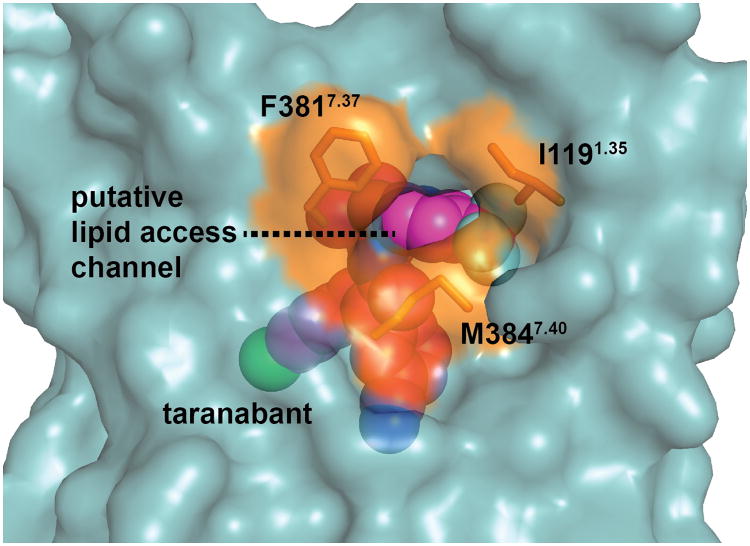 Extended Data Figure 5