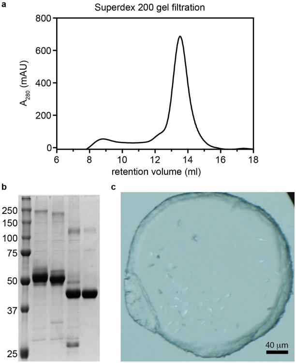 Extended Data Figure 3