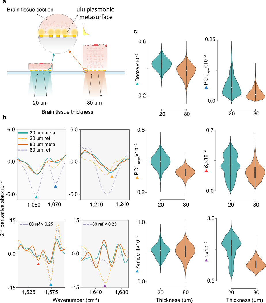 Figure 4 |