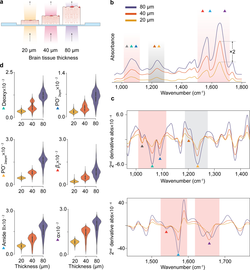 Figure 2 |