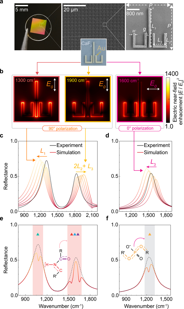 Figure 3 |