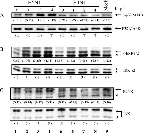 FIG. 2.