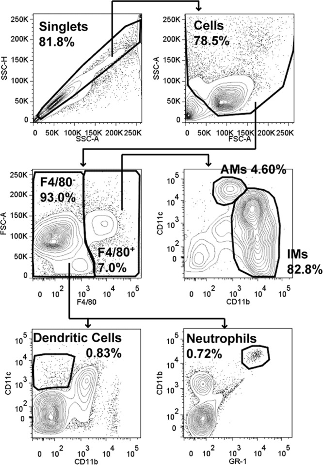 FIG 1