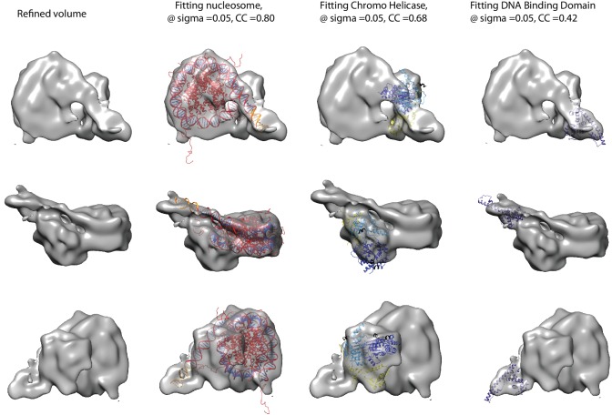 Figure 7—figure supplement 2.